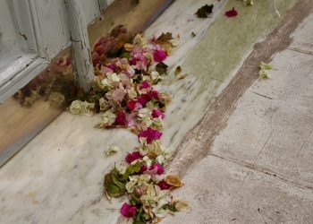 סרדיניה אהובתי