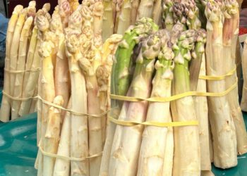 ריזוטו אספרגוס לימון