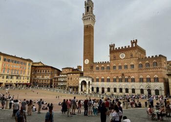 סיינה טוסקנה