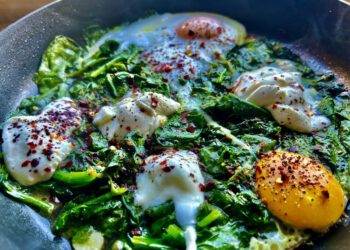 שקשוקה תרד ובורטה