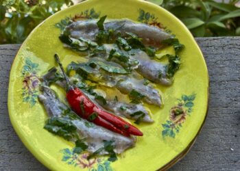 סרדינים כבושים של קיץ