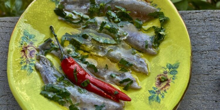 סרדינים כבושים של קיץ