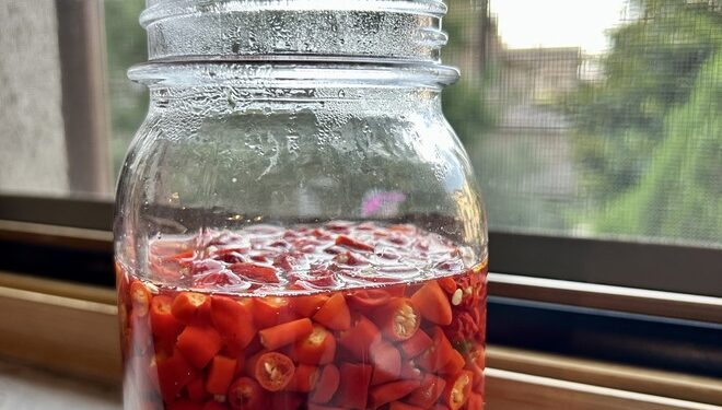 עגבניות מיובשות סטייל איטליה